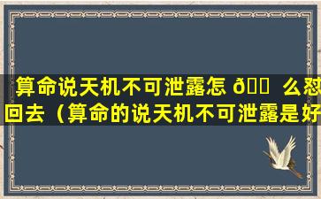 算命说天机不可泄露怎 🐠 么怼回去（算命的说天机不可泄露是好事还 🐡 是坏事）